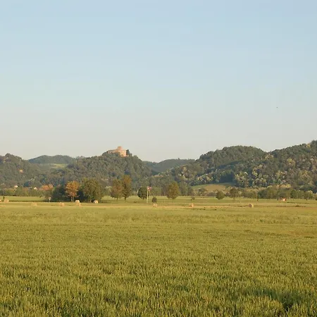 Quattrocolli